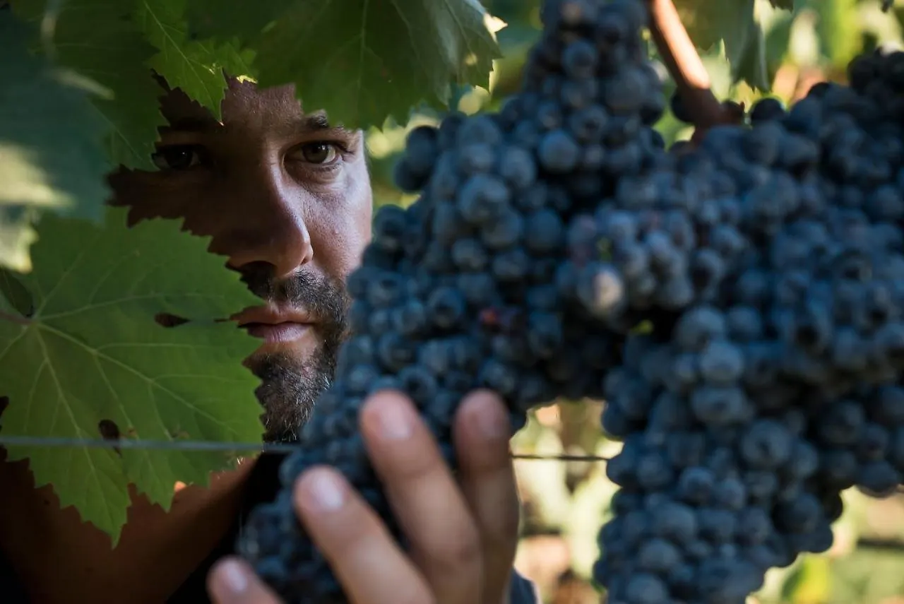 Is Cheas Wine Farm Boutique Hotel San Vero Milis