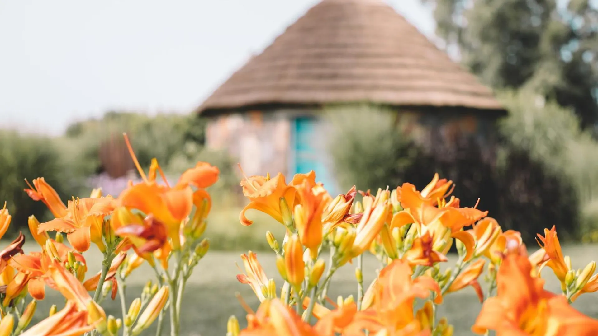 Vakantieboerderij Is Cheas Wine Farm Boutique Hotel San Vero Milis